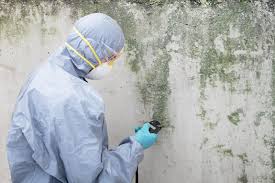 Best Mold Odor Removal Services in Matoaca, VA